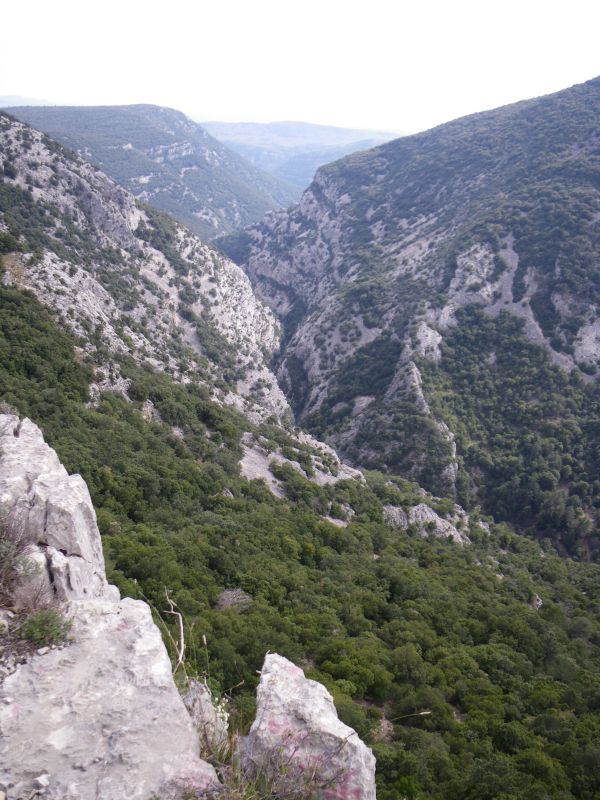 20090425_1659-0717-Vallon_de_la_Siagnole.jpg