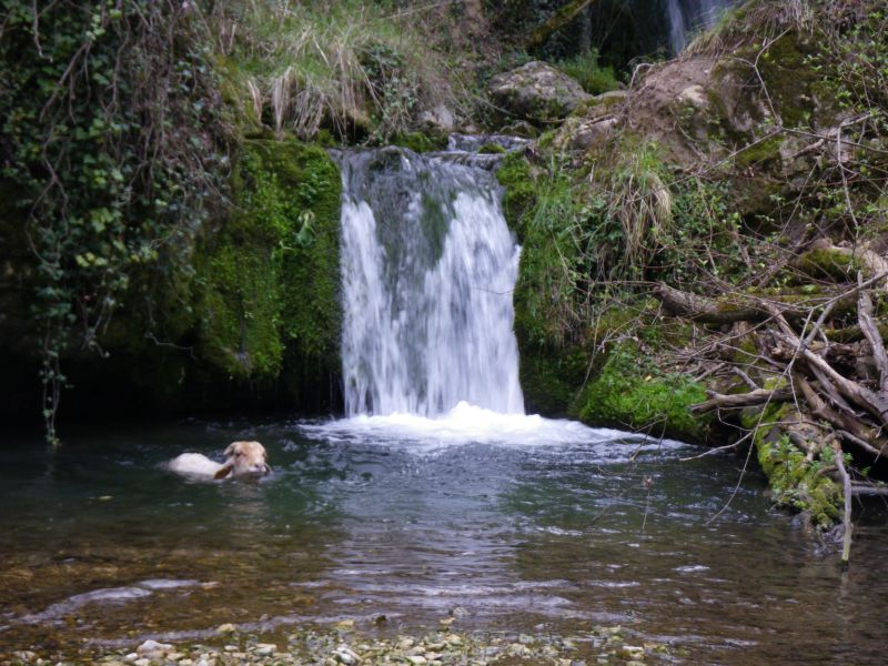 20090425_1756-0729-Vallon_des_Mourlans.jpg