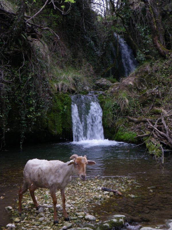 20090425_1757-0732-Vallon_des_Mourlans.jpg