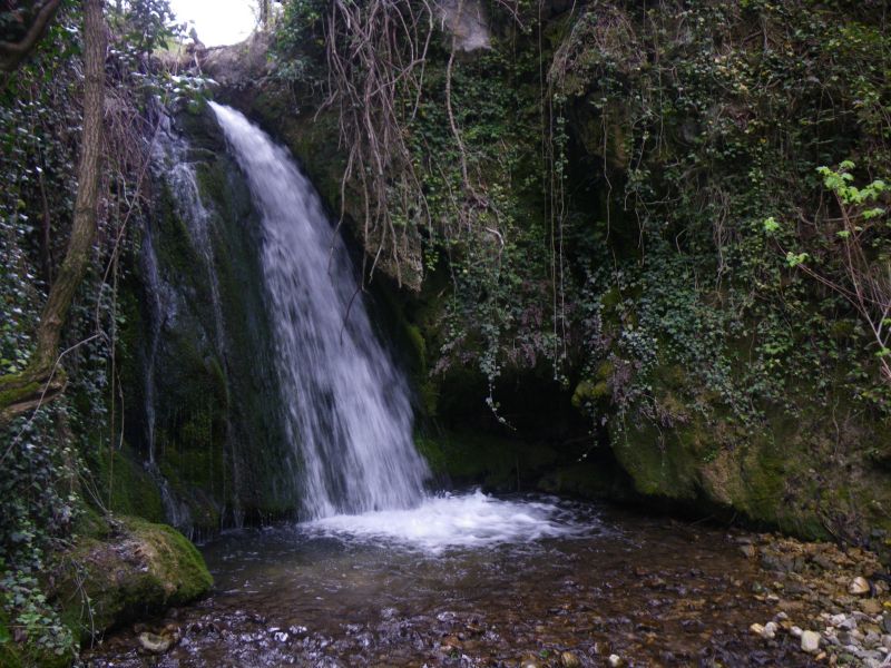 20090425_1800-0738-Vallon_des_Mourlans.jpg