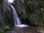 20090425 1800-0738-Vallon des Mourlans