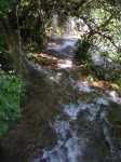 20090501 1658-0813-Pont des Tuves