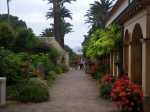 100613 1219-5327-Monastere St Honorat