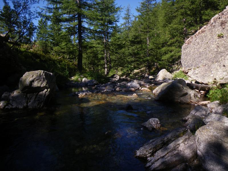 100808_0955-5888-Val_du_Haut_Boreon.jpg