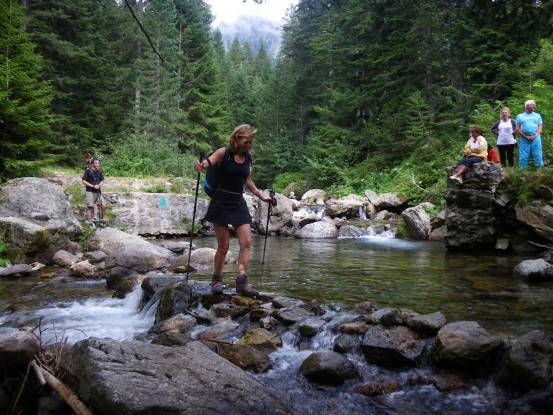 100808_1652-5947-Val_du_Haut_Boreon.jpg