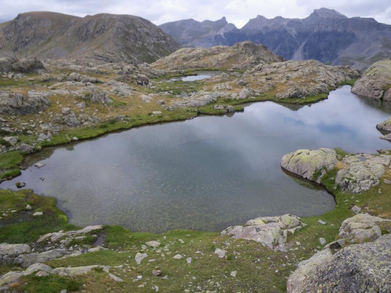 100815_1301-5995-Lacs_de_Morgon.jpg