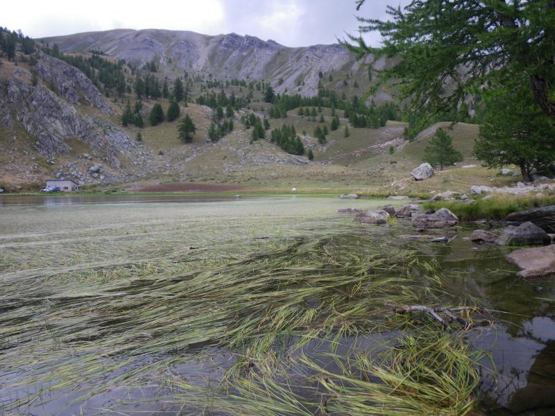 100829_1557-6350-Lac_des_Grenouilles.jpg