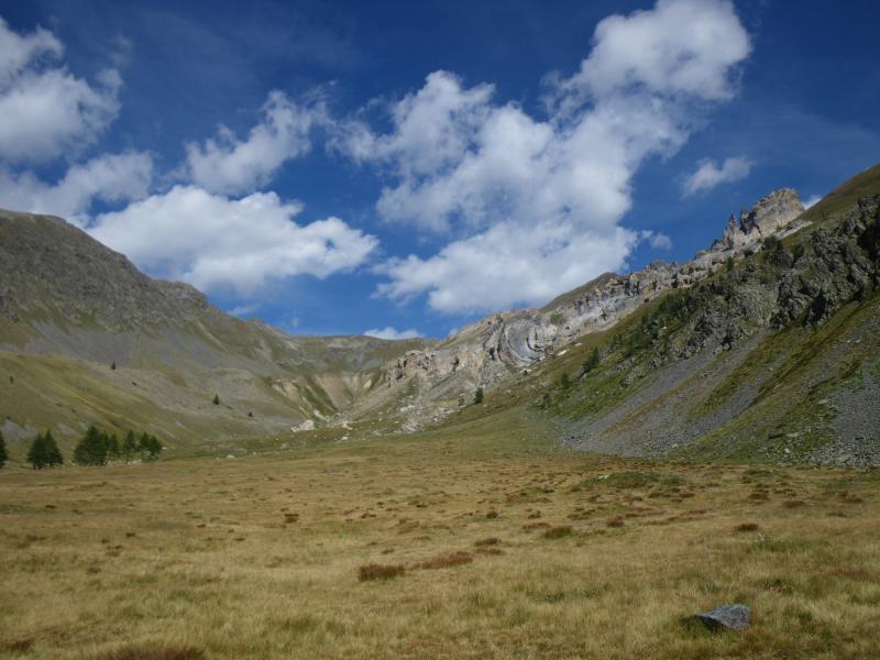 100904_1530-6452-Vallon_de_Tortisse.jpg