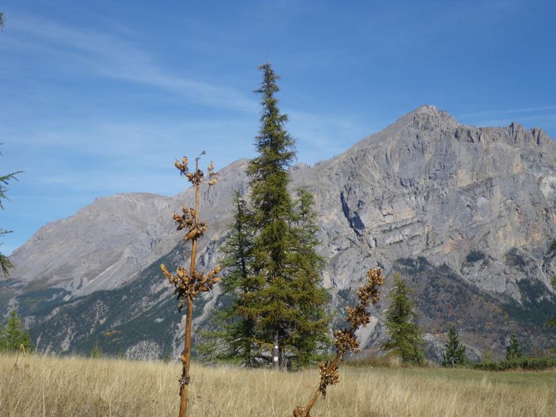 111016_1258-9603-Col_de_la_Pousterle.jpg