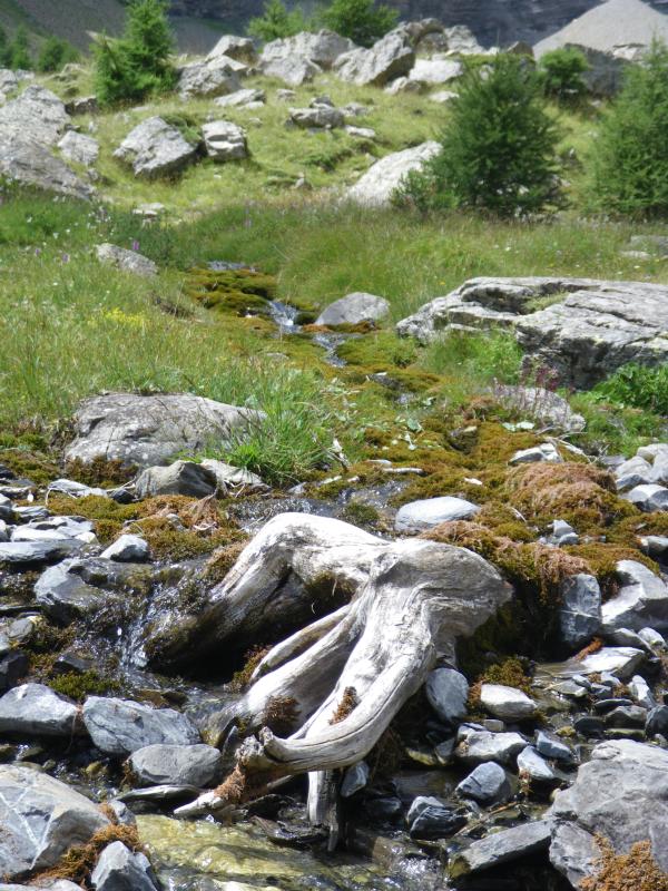 120729_1321-0794-Torrent_du_Couleau.jpg